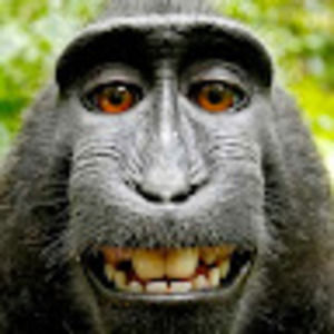 Meet your Posher, Misael